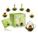 Creano tea blower gift set blossomed with a glass jug - green tea fruity flavored (tar lunches in 6 varieties) blooming tea tea gift for Christmas for women tea lovers green tea