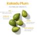 Buy C-Brilliance Vitamin C Toner - Vegan Witch Hazel Astringent with Kakadu Plum & Bilberry | 8 oz | Fragrance Free - International Shipping - Buy Online on GoSupps.com