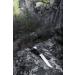 Buck Knives 119 Special Hunting Knife | 6 420HC Blade | Black Phenolic Handle - Buy Online on GoSupps.com