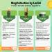 Meg Collection Skincare Set | MegFresh Cleanser MegPep Serum MegBright Moisturizer & Free Gua Sha Tool | International Shipping Available - Buy Online on GoSupps.com