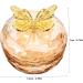 MUSISALY Nail Art Brush Cup Nail Dish Bowl Dish for Acrylic Nails Decorative Nail Brush Cup Nail Art Liquid Holder Nail Dish Cup Glass Nail Cups Glass Nail Art Cup Nail Art Dish Cup - Buy Online on GoSupps.com