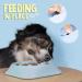 Purrfects Slow Feeder Dog Bowl (Sky Blue) - Anti Choke and Bloat - Dog Slow Feeder for Slower Feeding - Buy Online on GoSupps.com
