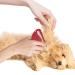 Display Knife Cat - 10-Piece Knot Comb Set for Pet Care | Hair Removal & Massage Tool for Cats (Red) - Buy Online on GoSupps.com