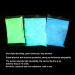 Fluorescent Powder Coating - Bright DIY Pigment for Nail Art | 3 Colors - Blue Green Noctilucent - Buy Online on GoSupps.com