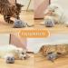 Pawthquake Interactive Cat Mouse Toy - Robotic Mice with Feather Wand & Electric Ball for Indoor Cats/Kittens | USB Rechargeable & Random Movement - Hunting Simulation - Buy Online on GoSupps.com