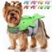 VIVAGLORY Dog Life Vest for Small & Medium Dogs Easy on & off Sports Style Dog Life Jacket with Adjustable Nylon Straps Bright Green XS: 43-51 cm (Ribcage Girth) Bright Green
