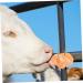 DOITOOL Livestock Salt Lick Animal Farm Supply Salt Licking Block Small Pets Lick Salt Nutrition Pendant - Buy Online on GoSupps.com