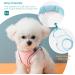 Shop Geeric Cat Dishes & Escape-Proof Harness Set | Adjustable Cat Dishes for Small Cats | Leash-Friendly Cat Accessories in Pink & Blue - Buy Online on GoSupps.com
