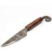 Toferner Celtic Style Gift Letter Knife | Hand-Forged Spring Steel | Genuine Leather Case | Perfect for Collectors and Gifts - Buy Online on GoSupps.com