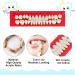 4 Sets Acrylic Resin Fake Teeth Dentures for DIY Halloween - 112 PCS, Upper & Lower Synthetic Resin Teeth for Replacement - Buy Online on GoSupps.com