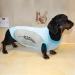 Jodsen Dog Cooling Vest - Summer Breathable Mesh Jacket for Small to Medium Dogs (3XL Blue) - Comfortable & Reflective Design - Buy Online on GoSupps.com