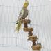 Generic Bird Ladder Bird Toy Bird Wooden Ladder Toy Wooden Parrot Bird Perch Stand Platform for Pet Training Bird Cage Accessories Decoration - Buy Online on GoSupps.com