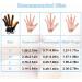 Rehabilitation Robot Gloves Stroke Hemiplegia Rehabilitation Training Equipment Finger Orthosis for Hand Function Recovery(Size:M Color:Left Hand) Medium Left Hand - Buy Online on GoSupps.com