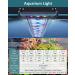 SEAOURA 14W Led Aquarium Light | Full Spectrum Fish Tank Light with Timer | Adjustable Brightness | 18-24 Inch | White Blue Red Green Pink LEDs | Freshwater Plants | Extendable Brackets - Buy Online on GoSupps.com