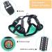 AWOOF Escape Proof Kitten Harness and Leash Adjustable Cat Walking Jacket Soft Breathable Pet Vest Green (S) - Buy Online on GoSupps.com