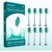 Derffin Replacement Toothbrush Heads 8 Pack Standard Brush Heads Compatible with Philips Sonicare Electric Toothbrushes Fit The Models of HX3/HX6/HX9/HX8/HX7 Series (White) A8 White - Buy Online on GoSupps.com