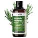 Casida Rosemary Shampoo with Biotin - Rosemary Oil Shampoo Against Hair Loss - For Thin and Thinning Hair - Free of Sulfates Silicones SLS - 200 ml