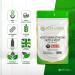 HB Stinging Nettle Root Capsules - 2000mg (10:1 Extract) | High Strength Nettle Root Supplement | Non-GMO, Gluten & Allergen Free | 120 Count | Made in the UK - Buy Online on GoSupps.com