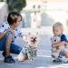 4 Pack Flower Pattern Summer Shirts for Small to Medium Dogs & Cats - Stylish Beach Clothing for Pets - Buy Online on GoSupps.com