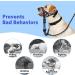 Adjustable Barkless Soft Dog Muzzle for Medium & Large Dogs - No Pulling Comfortable Fit Easy Control for Walks - Blue L (Snout 9.5-14) - Buy Online on GoSupps.com