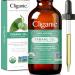 Cliganic 100% Pure & Natural Oil Tamanu 2 fl oz (60 ml)