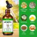 Natural Antibiotics for Cats Cat Antibiotics- Cat Multivitamin is anti-bacterial effect antibiotics for cats Supports Immune & Cats Allergy Relief Health Supplies Cats UTI Antibiotics(60ml) - Buy Online on GoSupps.com