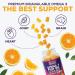 Omega 3 Fish Oil Gummies Heart Healthy Omega 3 Gummy Supplement with High Absorption DHA & EPA Extra Strength Joint & Brain Support Delicious Orange Flavor Fish Oil Nature's Vitamin - 120 Gummies 120 Count (Pack of 1) - Buy Online on GoSupps.com
