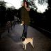 Flexi Roll-Line Neon Reflective Rope 5m for Dogs Up to 20kg - Classic Pink - Buy Online on GoSupps.com