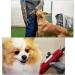 Buy Waterproof Bite-Proof Gloves for Handling Animals | 60cm Reinforced Leather Protection for Cats Dogs Lizards & More International Shipping Available - Buy Online on GoSupps.com