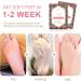 Exfoliating Foot Mask 4 Pairs Moisturizes Nourishes Foot Peel Mask Natural Ingredients Peel Away Hard Skin Calluses Renew Skin Repair And Soften Cracked Heels Feet Masks Exfoliating Socks - Buy Online on GoSupps.com