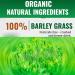  Qoobom Salveo Barley Grass Powder 100% Pure and Organic Salveo Well - Organic Barley Grass Juice Powder Improve Your Health Naturally Excretes Body Waste in Just 2 Weeks - Buy Online on GoSupps.com
