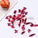 1820Pcs Red Rhinestones Nail Gems - 12 Styles 3D Glass Crystals | Multi Shape Flatback Face Gems with Rhinestones Picker and Tweezers - Buy Online on GoSupps.com