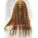 Iris Queen 24 Ombre Lace Front Wig - Curly Brazilian Human Hair, 150% Density, Honey Blonde & Brown Highlights for Black Women - Buy Online on GoSupps.com