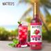 Matteo's Sugar-Free Fruit Syrup Sweeteners for all types of Beverages - for Pastry Dessert Kitchen Restaurant and Bars Authentic Raspberry Flavor Tart Sweet Non Alcoholic Syrup (750mL 6pk) 750 ml (Pack of 6) - Buy Online on GoSupps.com