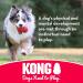 KONG Extreme Flyer: Durable Rubber Soft Flying Disc for Power Chewers - Large Dogs - Buy Online on GoSupps.com