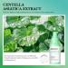 Centella Releaf Serum - Unscented Facial Serum for All Skin Types | Nourishing Moisturizing Soothing & Reduces Redness | Vegan & Cruelty-Free | 60ml - Buy Online on GoSupps.com