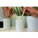 Bamboo Toothbrush Pack of 4 | Soft Bristles | Vegan & Biodegradable | Eco-Friendly & Sustainable | 100% BPA-Free | ECOMONKEY  - Buy Online on GoSupps.com