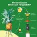 Bromelain High Dose 500mg - 120 Vegan Capsules | 5000 FIP & 2500 GDU Pineapple Extract | Pure Natural Enzyme Supplement - No Additives - Buy Online on GoSupps.com