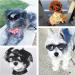PEDOMUS Dog Goggles - Small Dog Sunglasses with Adjustable Strap for UV Protection, Waterproof - Black - Buy Online on GoSupps.com