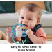 Fisher Price Twist & Teethe Otter: 2-in-1 Rattle & BPA-Free Teether for Infant Fine Motor Play - Buy Online on GoSupps.com