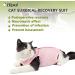 Buy Hipet Cat Surgical Recovery Suit - Anti-Licking Onesie for Abdominal Wounds | Replacement E-Collar for Cats (Small Pink) - Buy Online on GoSupps.com