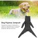 Dog Streamer Surgery Recovery Suit - XL Pet Pajama Overall for Complete Coverage & Surgical Healing | Prevents Tract Exposure - Buy Online on GoSupps.com