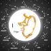 Zodiac Sign Ring | 12 Constellation Adjustable Horoscope Collection | Perfect Birthday Gift for Women & Teenage Girls - Buy Online on GoSupps.com