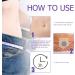 Natural Plant Belly Button Patch for Men and Women - 60Pcs/Box - 1 Count - Buy Online on GoSupps.com