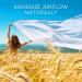 AIRMAX Nasal Dilator - Natural Comfortable Breathing Aid for Maximum Airflow, Reduced Nasal Congestion (Small - Blue) - Buy Online on GoSupps.com