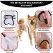 XXL Waterproof Dog Raincoat with Reflective Strip & Hood - Perfect for Small Dogs - Buy Online on GoSupps.com