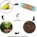 Zuras 35L Compostable Organic Waste Bags - 100 Biodegradable Tear-Resistant Waterproof DIN EN 13432 Certified - Buy Online on GoSupps.com