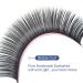 Mink Matte Ellipse Flat Eyelash Extensions 0.20mm C Curl 9mm - Rich Black Soft | Professional Salon Use - Buy Online on GoSupps.com