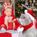 Buy Festive Cat & Dog Christmas Costumes | Adorable Hats & Scarves for Small Pets - Buy Online on GoSupps.com