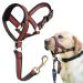 Maulkorbline for heavy pullers no pull-stylish headtaking for medium-sized and large aggressive dogs gentle dog views stops pulling and suffocating the pet at M (snout: 7.9 "-12.6") Red